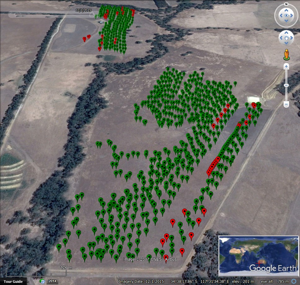 Image of the locations of the WheelCam over two paddocks 