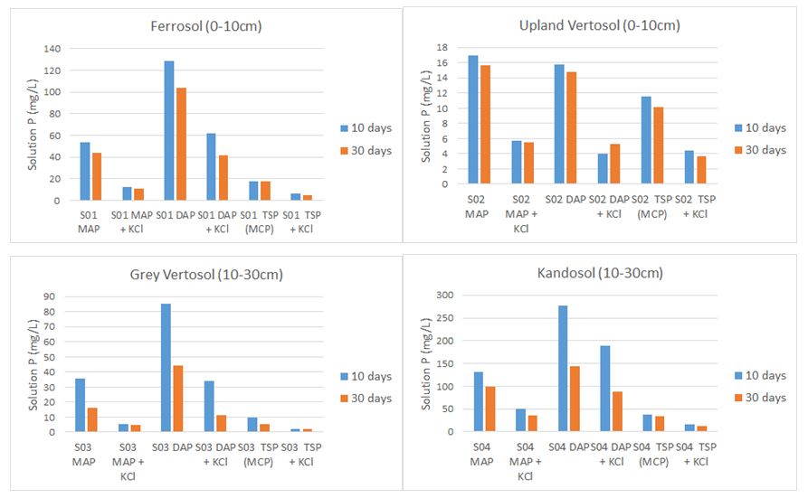 Graphs show 4 column graphs showing the effect of fertiliser form on soil solution pH and P concentration in fertiliser bands after 10 and 30 days incubation at field capacity for four soils from the northern grains region. 