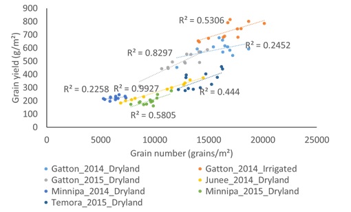 Line graph showing the relationship between grain number and grain yield for a common set of wheat cultivars grown in different environments across eastern Australia 