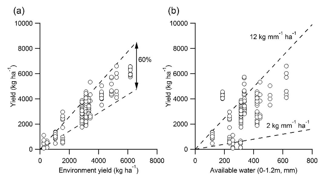These scatter plots show the treatment mean yield versus environment yield i.e. mean of site yield from all the treatments (a), and (b) relationship between treatment means and available water estimated as soil moisture at sowing (0-1.2m) plus in crop rainfall and added irrigation (if any). Results under preparation for publication. (Rodriguez et al. 2017)