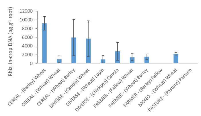 bar graph rhizo 