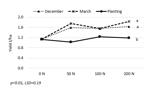 This is a line graph showing the effect of application timing and N rate on yield, Billa Billa 2017. There was no significant N response from fertiliser applied at planting (or in-crop) at this site, with only 71mm of in-crop rain received between planting and the end of September.