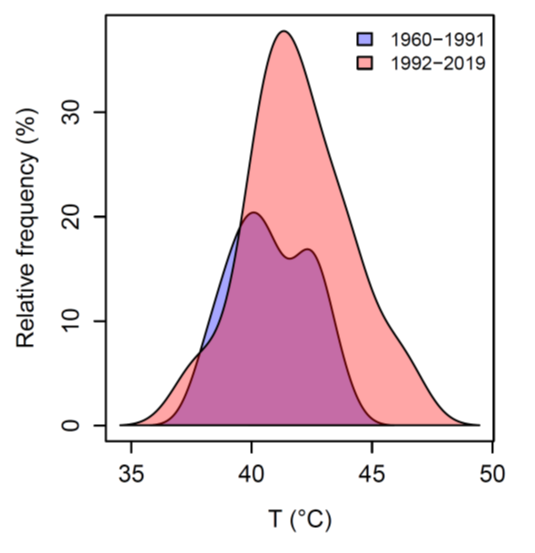 This line graph show the probability distributions of daily maximum temperature extremes for Goondiwindi for two periods, namely 1960 to 1991 and 1992 to 2019.