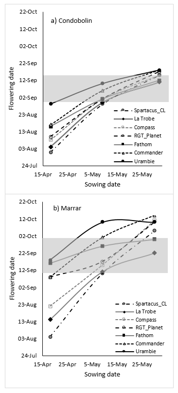 These two line graphs show the flowering date responses to sowing date for selected varieties at a) Condobolin and  b) Marrar field experiments in 2019. Shaded area indicates proposed optimal flowering period (OFP) at each location.