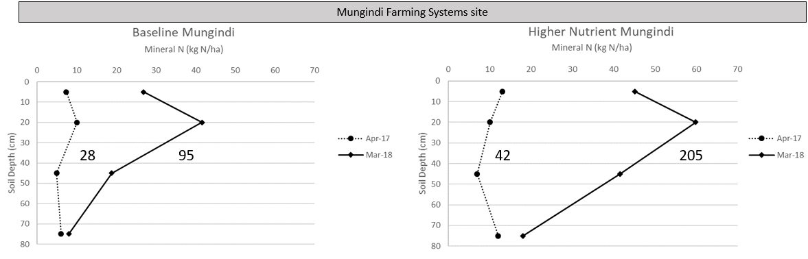 These two line graphs shows the distribution of mineral N placement within the soil profile over a long fallow period at Mungindi site for baseline and higher nutrient treatments
