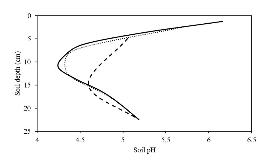 Final soil pH of the control treatment in the field trial displayed as varying sampling increments, solid line = 2.5cm increments (actual), dotted line= 5cm increments (calculated), and dashed line= 10cm increments (calculated).