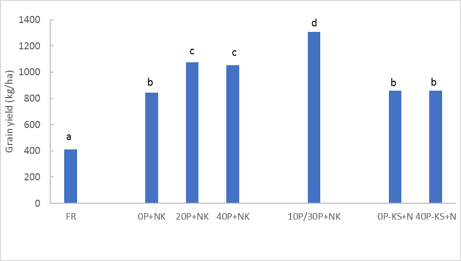 This column graph shows mean grain yields (kg/ha) for treatments in the Dululu P trial. Means with the same letters are not significantly different at the P=0.05 level (lsd=195)