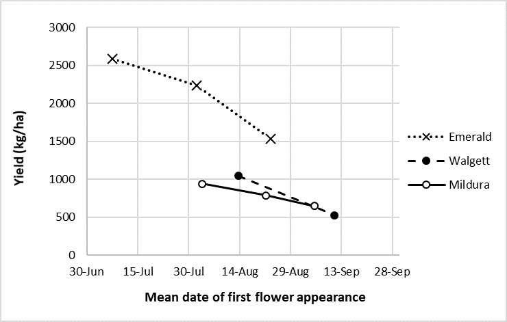 This scatter plot shows the mean grain yield vs mean date of first flower appearance across 5 desi chickpea varieties from three ‘time-of-sowing’ field experiments conducted in 2019. Markers (cross or circles) represent data generated from a single sowing date. The Caragabal and Millmerran experiments were not included due to uneven emergence that prevented accurate assessment of plot flower appearance.