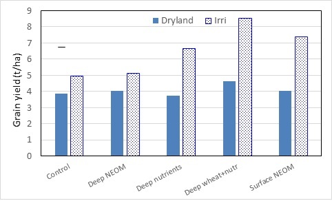 Column bar graphs showing for control, deep nutrient efficient organic matter, deep nutrients, deep wheat plus nutrients and surface nutrient efficient organic matter treatments the grain yield response of barley when grown in a dryland situation compared with an irrigated prior to sowing situation