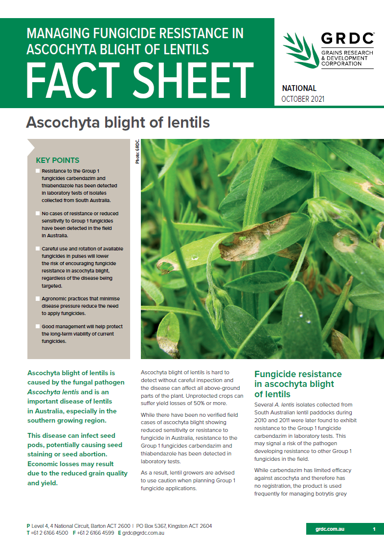 image of Managing fungicide resistance in Ascochyta blight of lentils-cover-thumbnail
