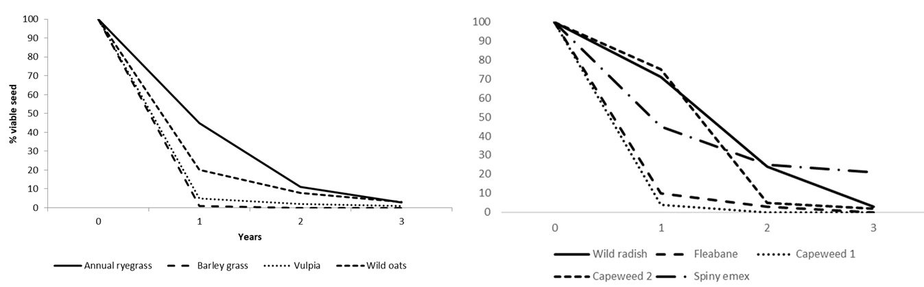 Two line graphs showing the percentage of seed in the soil seedbank remaining viable over a three year period for a range of grass and broadleaf weed species. Source: Cheam (1987), Dowling (1996), Peltzer et al. (2002), Dunbabbin and Cocks (1999), Green et al. (2010).