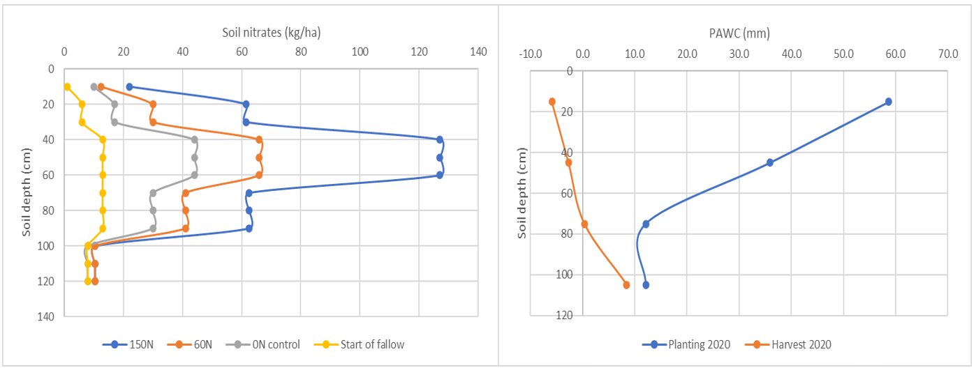 Side-by-side graphs showing mean distribution of soil nitrates (left) by soil layer under three N application treatments during an 81-day fallow over the summer period (2019-2020).