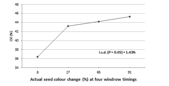 Line graph showing seed oil concentration (%) and SCC of Hyola® 575CL at four windrow timings at Tamworth in 2015.
