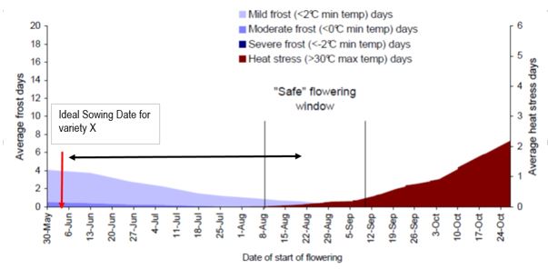 Area graph showing an example of how an optimal flowering period is generated and then an ideal sowing date is developed for a specific environment.