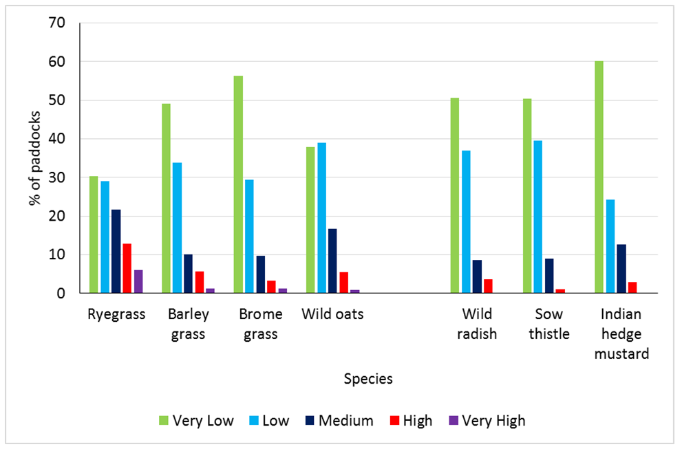 Figure 2 is a column graph depicting the density of different weed species, ryegrass, barley grass, brome grass, wild oats, wild radish, sowthistle and indian hedge mustard, across all surveys between 2010 and 2017