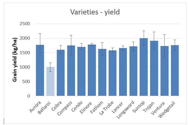 Figure 3. Effect of variety choice on grain yield, Griffith 2017.