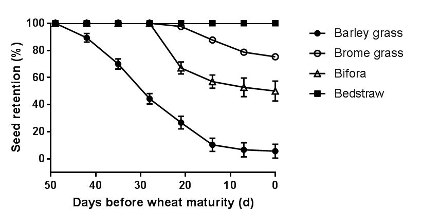 Figure 3. Seed retention of brome grass (unshaded circle) relative to barley grass (shaded circle), bifora (triangle) and bedstraw (square) in relation to wheat maturity (≤12% grain moisture content) at Roseworthy in 2016. Bars show ± SE.