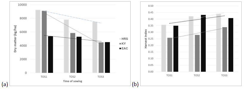 Figure 2 is a set of two column graphs (a) and (b) that show time of Sowing (TOS) trials in 2015 at 3 sites; Hermitage [HRS], Kingaroy [KY] and Emerald [EAC].  All sites had a decreasing trend for dry matter production when planted later in the season (a).  Harvest Index (HI) improves with later sowing dates as dry matter is reduced (b).