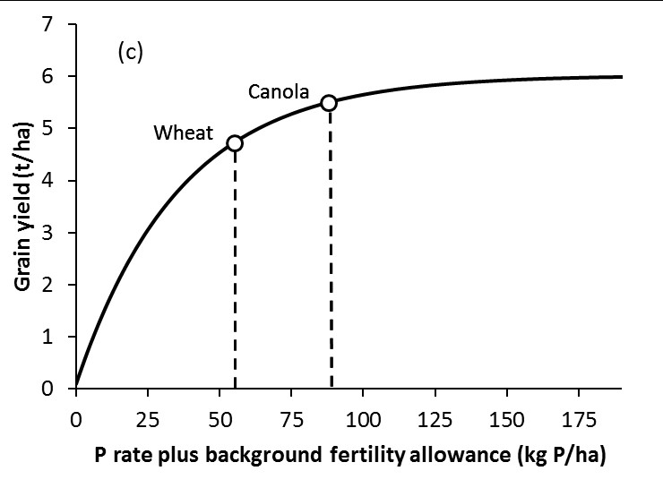 Figure 3. (a) Economic optimum nutrient application for a 1:1 and 2:1 benefit cost ratio; (b) economic optimum P application (circles) for a 2:1 benefit cost ratio for yield potentials representative of the HRZ, Wimmera and Mallee using the same curve as in Figure 2, and the fertility required for 90% of yield potential in all three environments; (c) economic optimum P application at a 2:1 benefit cost ratio for canola using the same curve as in Figure 2 and current prices, and for wheat if the yield response relationship also applied to wheat.