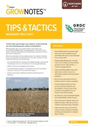 GRDC Tips & Tactics: Managing wild oats cover