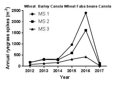 Line graphs illustrating annual ryegrass seed head numbers at harvest from 2012 to 2017 at Lake Bolac for the three different management strategies (MS1, MS2 and MS3) that were employed.