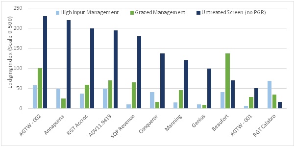 Bar graph illustrating the lodging index (severity x extent – 0 to 500 scale) of a number of different cultivars trialled under both the standard and high input management and in the untreated screening trial (with PGR or fungicide) assessed on the 23-24 January just prior to harvest (GS99). 