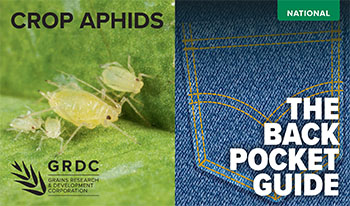 Crop Aphids The Back Pocket Guide cover image