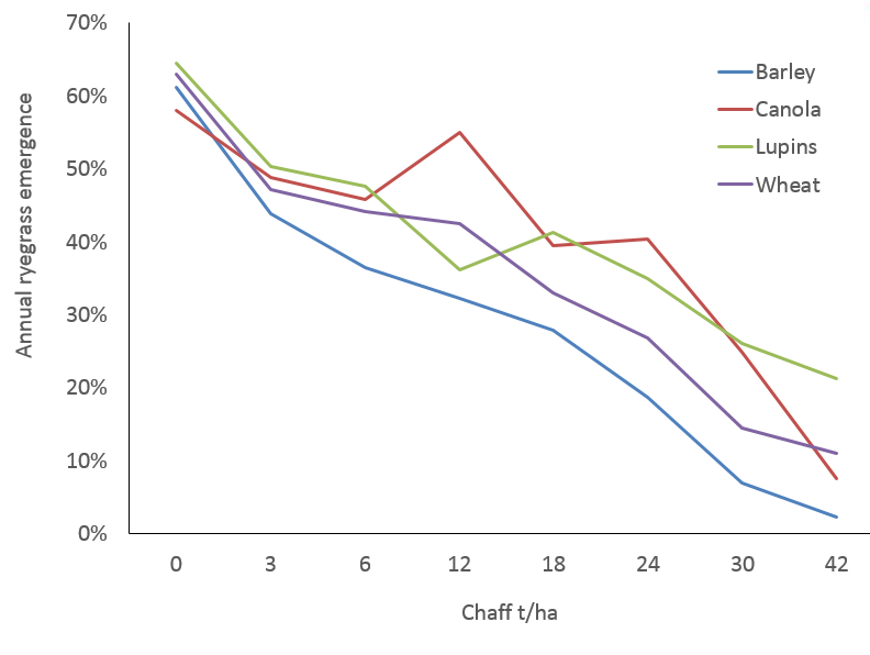 This line graph shows the emergence of annual ryegrass through wheat, lupin, barley and canola chaff at 8 different rates (t/ha) in a pot trial conducted at Wagga Wagga, NSW (Broster et al., 2018).