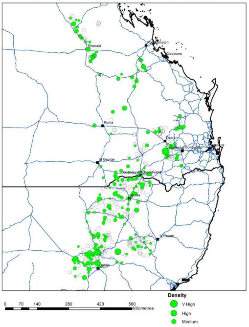 This is a map of the northern grain cropping region showing sowthistle distribution