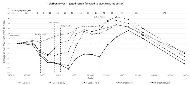 This is a line graph showing changes in soil water (mm to 90 cm) from planting of key cover crop treatments until defoliation of the subsequent cotton crop at Yelarbon. The water cost of growing the barley cover crops, relative to the control treatment in the early stages of the fallow was  ~40 mm for the early-termination, ~70 mm for the mid-termination and ~120 mm for the late-termination. 