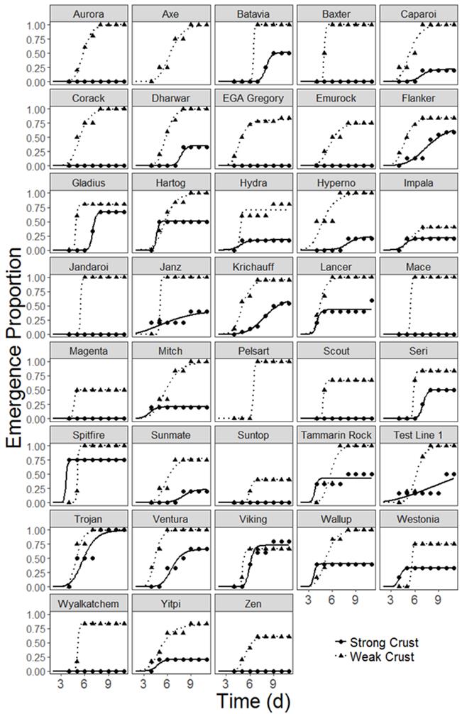 This is a set of graphs, one for each genotype, showing seedling emergence proportion of wheat genotypes in the weak and strong crust treatments along with time. Seedling emergence differed significantly between the two crust treatments (P<0.001) with the average emergence in the strong crust treatment (20% emergence) being significantly lower than in the weak crust treatment.
