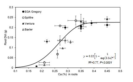 This is a graph showing the relationship between root DM and concentrations of Ca in root tissues of four wheat genotypes in four replicates grown in five SAR treatments, Experiment 5. Higher calcium concentrations in roots was correlated with a greater ability to maintain both root (R2=0.77, Figure 13) and shoot dry matter (R2=0.54).