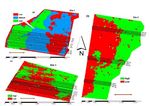 This is a set of digital images showing potential management classes based on grain yield and ECa-LL for: (a) Site 1, Biloela, (b) Site 2, Goondiwindi and (c) Site 3, Garah. The brown arrow in each is the direction of field operations. White dots and numbers denote the locations of the soil samples taken in each field.  At the Biloela site, from a 64-ha field in crop production since 1960, three potential management classes were justified. The soil of the Goondiwindi site (257 ha) is a grey Vertosol. The Garah site (189 ha) has relatively little lateral variability in clay content and is classified as a grey Vertosol.