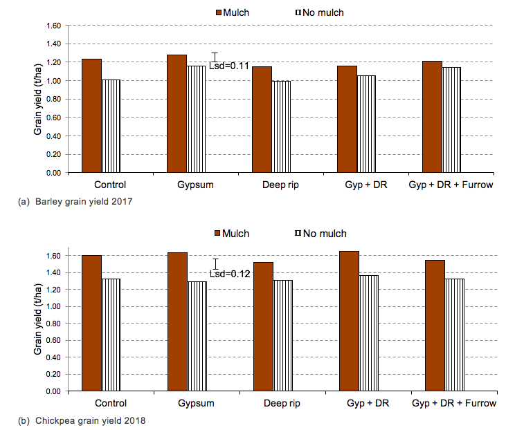 bar graph showing the effect of mulching on grain yields 
