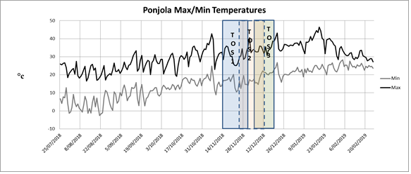 This is a graph showing the floweringwindows for TOS 1, TOS 2 and TOS 3 at "Ponjola" Moree in 2018-19. TOS 1 moved the flowering window for all hybrids forward by around three weeks compared to sowing at the recommended soil temperature (TOS 3). This meant flowering was completed prior to the onset of very high temperatures at the beginning of December (Figure 2). 