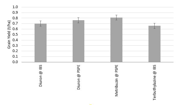 Column bar graph indicating grain yield response of PBA Hurricane lentil variety to combined herbicide (diuron, metribuzin and terbuthylazine) and application timing (incorporated by sowing and post-sowing pre-emergent) trials