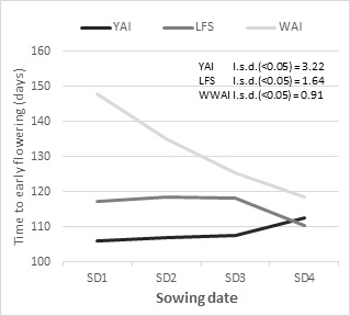 Line graph showing the average length of time taken for eight chickpea varieties to reach the early flowering stage for four sowing dates at three different experimental sites, Yanco, Leeton and Wagga Wagga