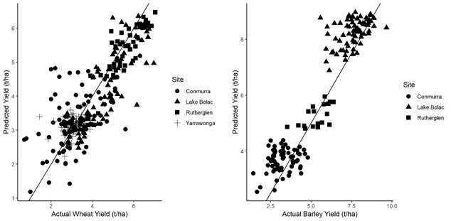 Scatter line graphs showing actual plot yield for wheat and barley at four different high rainfall zone locations (left hand side) compared with yield predicted by LUSO modelling based on weed and crop competition parameters (right hand side)