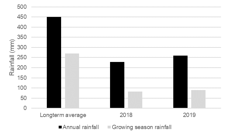 This column graph shows the long-term annual and growing season rainfall (mm) and rainfall for 2018 and 2019 for a field site located between Ungarie and Kikoira NSW.