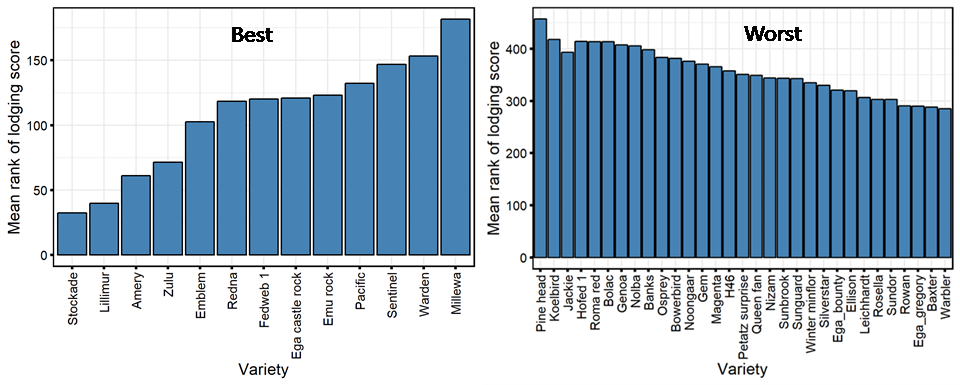 These two column graphs illustrate varieties which have a mean rank of predicted lodging score which falls in a) the top 25 or b) the bottom 25 in at least two analyses