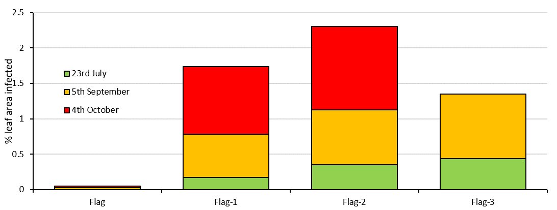 image of figure 4