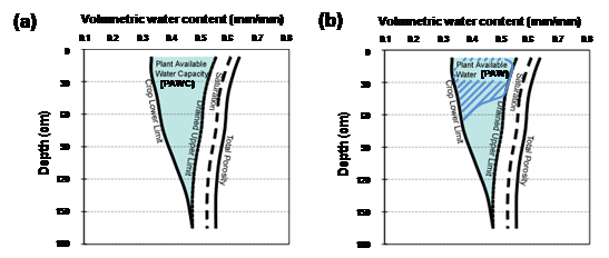 These two line graphs show (a) The Plant Available Water Capacity (PAWC) is the total amount of water that each soil type can store and release to different crops and is defined by its Drained Upper Limit (DUL) and its crop specific Crop Lower Limit (CLL); (b) Plant Available Water (PAW) represents the volume of water stored within the soil available to the plant at a point in time. It is defined by the difference between the current volumetric soil water content and the CLL.