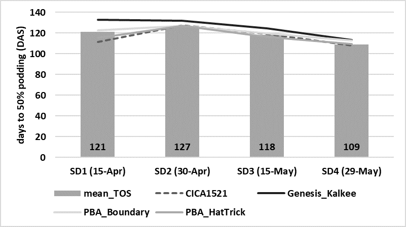 This line and column graph shows the effect of sowing date on number of days to 50% podding, for four chickpea varieties sown at four sowing dates, Trangie ARC, 2019. Columns represent the mean of all eight varieties sown in 2019 for each sowing date (TOS l.s.d. (P<0.001) = 2.629 days).