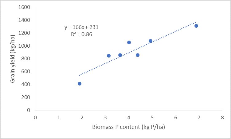 This figure is a scatter plot showing the relationship between biomass P uptake and chickpea grain yield (kg/ha) in the P trial.