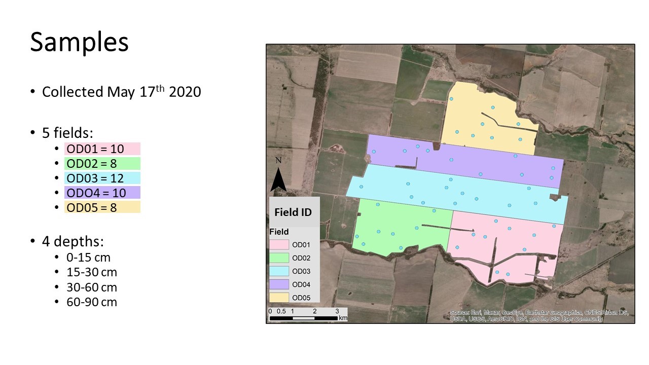 Figure 1. Forty-eight sample locations on the 5000 hectares test farm.