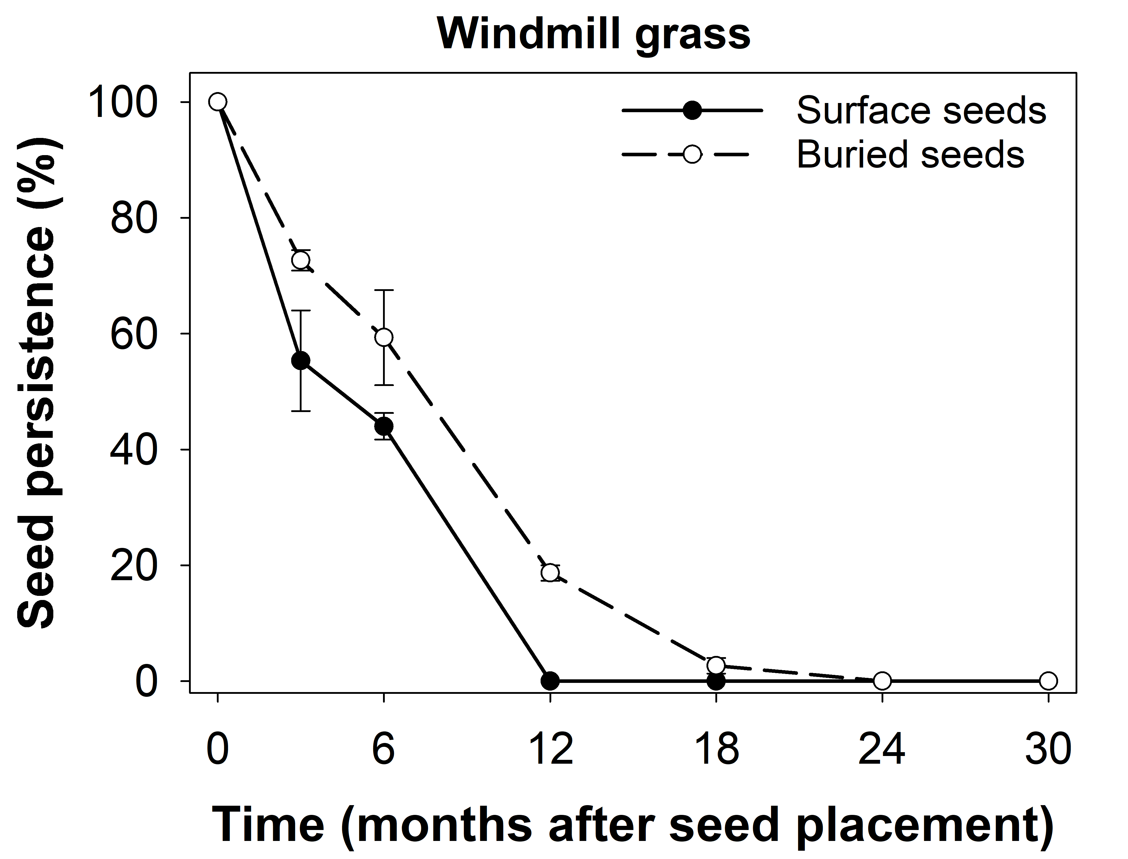 This line graph with error bars illustrates the persistence of windmill grass seeds placed on the soil surface or buried at 2 cm.