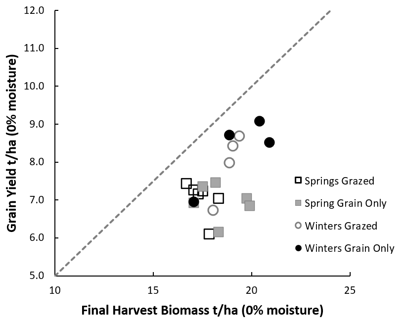 Scatter graph showing relationship between dry matter and grain yield (t/ha) at 0% moisture across cultivars grouped as  spring and winter types and when grazed or left for grain only in 2020 at Wallendbeen NSW. The dotted line represents aspirational yields that are possible with a harvest index of 50%.