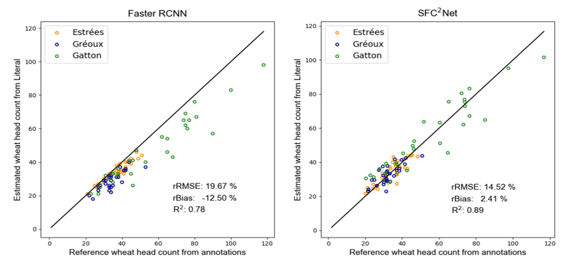 Two scatter plots showing performance results from independent testing of two head counting algorithms (RCNN and SFC2Net) on quadrat counts of wheat heads in France and Australia (Gatton)