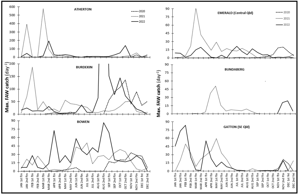 Six line graphs showing summarised pheromone trap data from representative locations from North Qld (Atherton, Burdekin, Bowen) to Central Qld (Emerald, Bundaberg) and southern Qld (Gatton) for three seasons 2020-2022. Trap catch data is presented as the maximum daily catch for each fortnight throughout the year.