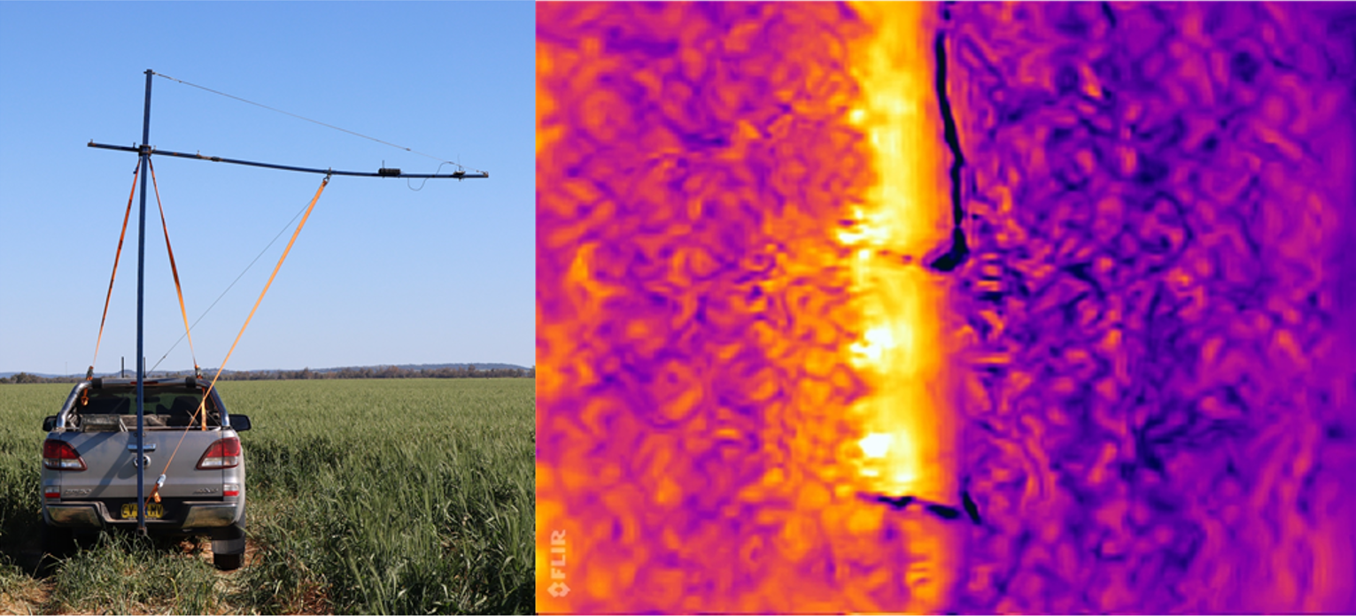 Two images showing the canopy temperature phenotyping platform (left) used for high-throughput phenotyping of thermal imagery in a wheat breeding program and (right) an example of a thermal image of a paired plot of a single genotype, with (left of image) and without (right of image) crown rot inoculum.